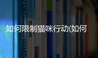 如何限制貓咪行動(如何讓貓咪不長大)