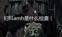 婦科amh是什么檢查（amh是什么檢查）