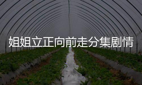 姐姐立正向前走分集劇情詳細(xì)介紹第4集