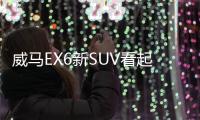 威馬EX6新SUV看起來不錯？不過它可能太貴