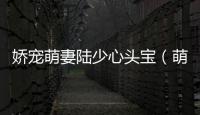 嬌寵萌妻陸少心頭寶（萌寶來(lái)襲陸少的心尖寵）