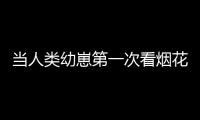 當人類幼崽第一次看煙花：驚慌失措，萌出表情包