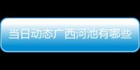 當日動態廣西河池有哪些公辦高中包括廣西河池有哪些公辦高中的詳細情況