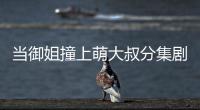 當(dāng)御姐撞上萌大叔分集劇情詳細(xì)介紹(1
