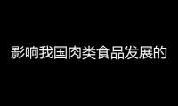 影響我國肉類食品發展的軟包裝技術