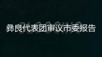 彝良代表團審議市委報告和市紀委工作報告