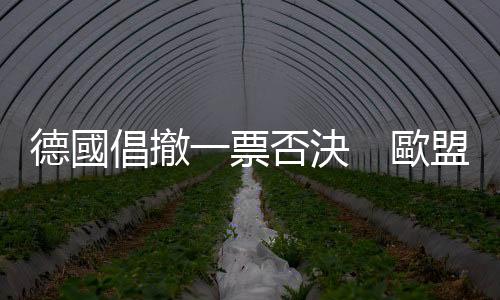 德國倡撤一票否決　歐盟內部矛盾擺上枱