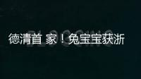 德清首 家！兔寶寶獲浙江省企業管理對標提升標 桿企業