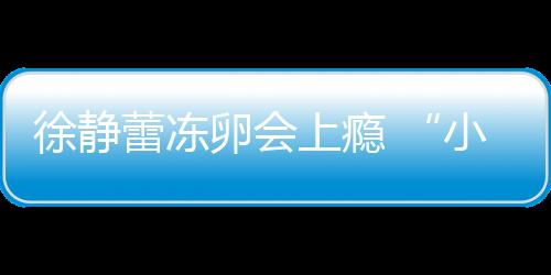 徐靜蕾凍卵會上癮 “小孩兒”存冰箱卻很踏實