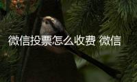 微信投票怎么收費 微信投票一千多少錢