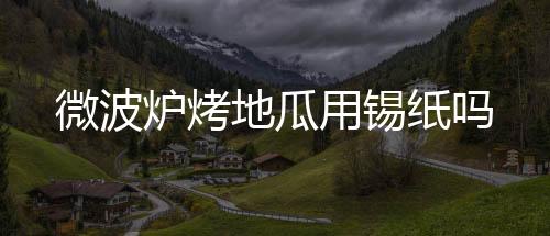 微波爐烤地瓜用錫紙嗎