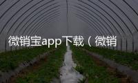 微銷寶app下載（微銷寶）