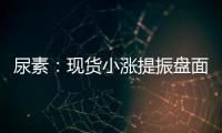 尿素：現(xiàn)貨小漲提振盤面