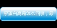 尿蛋白高是怎么回事，尿蛋白偏高怎么治，控制蛋白質攝入