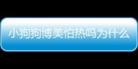 小狗狗博美怕熱嗎為什么？博美怕熱嘛