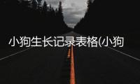 小狗生長(zhǎng)記錄表格(小狗的成長(zhǎng)記錄表英文版)