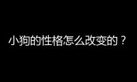 小狗的性格怎么改變的？小狗的性格可以改變嗎