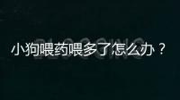 小狗喂藥喂多了怎么辦？小狗吃藥吃多了怎么辦