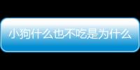 小狗什么也不吃是為什么呢？小狗什么也不吃是為什么原因