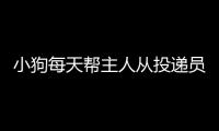 小狗每天幫主人從投遞員手中拿報紙圖