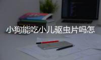 小狗能吃小兒驅蟲片嗎怎么吃？小狗能吃小孩的驅蟲藥嗎