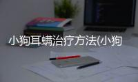 小狗耳螨治療方法(小狗耳螨用什么最有效)