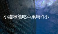 小貓咪能吃蘋果嗎?(小貓咪吃不吃蘋果)