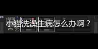 小貓洗澡生病怎么辦?。控埾赐暝韬笊×嗽撛趺崔k