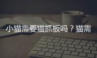 小貓需要貓抓板嗎？貓需要抓板嗎