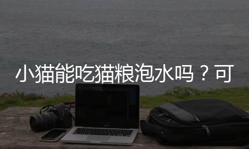 小貓能吃貓糧泡水嗎？可以吧貓糧泡一下給貓貓吃嗎