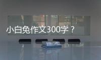 小白兔作文300字？ 小兔子優(yōu)秀作文300字