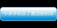 小米手機忘了激活密碼怎么辦（小米賬號密碼忘了無法激活手機）