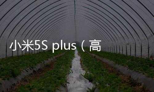 小米5S plus（高配版/全網通）一鍵刷機工具