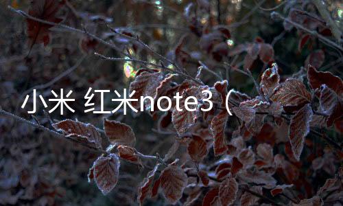 小米 紅米note3（全網通）