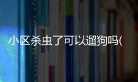 小區殺蟲了可以遛狗嗎(小區殺蟲多久可以遛狗)