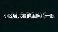 小區居民看群里照片一眼認出賊