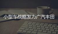 小型車戰略發力廣汽豐田前2月銷量增21%