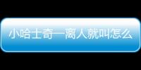 小哈士奇一離人就叫怎么回事(哈士奇人一走就叫)