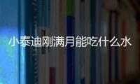 小泰迪剛滿月能吃什么水果好(小泰迪剛滿月能吃什么水果和蔬菜)