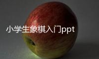 小學生象棋入門ppt 小學生入門英語怎么學