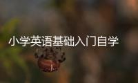 小學英語基礎入門自學 小學生英語基礎怎么學呢