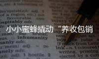 小小蜜蜂撬動(dòng)“養(yǎng)收包銷”產(chǎn)業(yè)鏈 林下養(yǎng)蜂鋪就“甜蜜”致富路