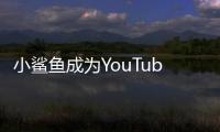 小鯊魚成為YouTube上觀看次數最多的視頻