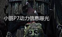 小鵬P7動力信息曝光 預計明年3月份量產