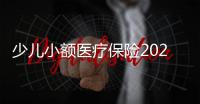 少兒小額醫療保險2024