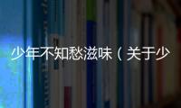 少年不知愁滋味（關于少年不知愁滋味的基本情況說明介紹）