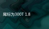 尾標為300T 1.8T版廣汽傳祺GA8諜照曝光