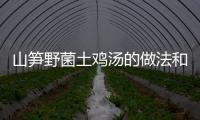 山筍野菌土雞湯的做法和食材用料及健康功效