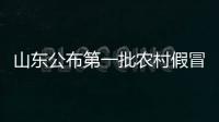 山東公布第一批農村假冒偽劣食品整治行動典型案例