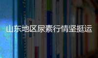 山東地區尿素行情堅挺運行